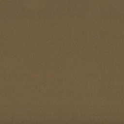 [317805] BROWN, PLAIN