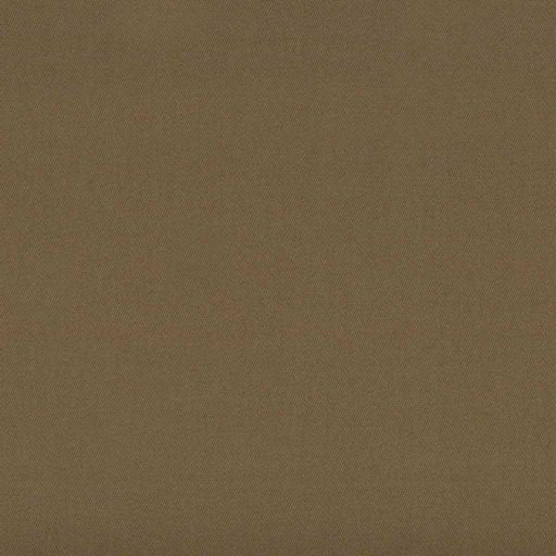 [317805] BROWN, PLAIN (DR# 25405)