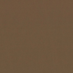 [317806] BROWN, PLAIN (DR# 25406)