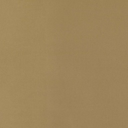 [317807] BROWN, PLAIN (DR# 25407)