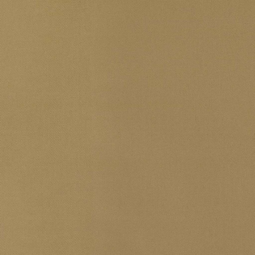 [317807] BROWN, PLAIN (DR# 25407)