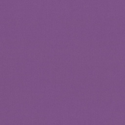 [317809] PURPLE, PLAIN (DR# 25409)