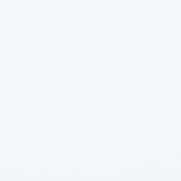 [317810] WHITE, PLAIN (DR# 25410)