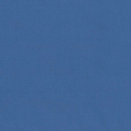 [317812] BLUE, PLAIN (DR# 25412)