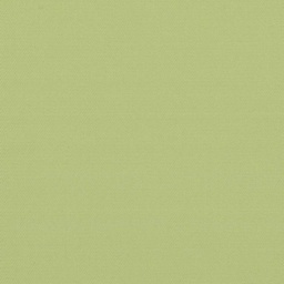 [317819] LIGHT GREEN, PLAIN (DR# 25419)