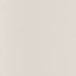 [317821] TAN, PLAIN (DR# 25421)