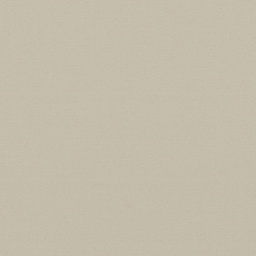 [317822] TAN, PLAIN (DR# 25422)