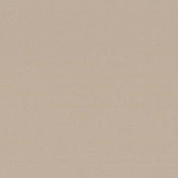 [317823] LIGHT BROWN, PLAIN (DR# 25423)