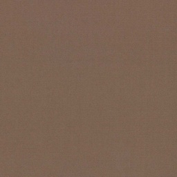 [317824] BROWN, PLAIN (DR# 25424)