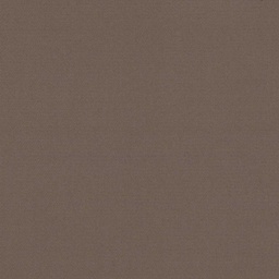 [317825] BROWN, PLAIN (DR# 25425)