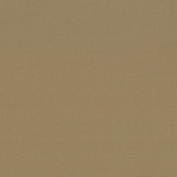 [317826] CAMEL, PLAIN (DR# 25426)