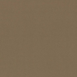 [317827] BROWN, PLAIN (DR# 25427)