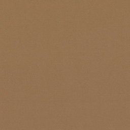 [317828] BROWN, PLAIN (DR# 25428)