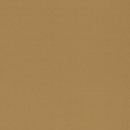 [317829] CAMEL, PLAIN (DR# 25429)