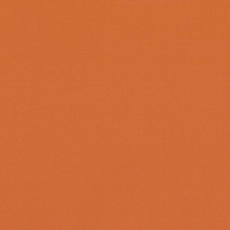 [317831] ORANGE, PLAIN (DR# 25431)