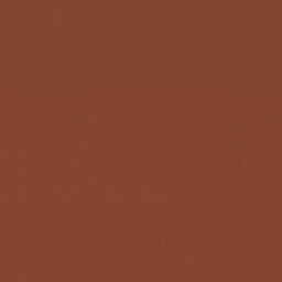 [317832] BROWN, PLAIN (DR# 25432)