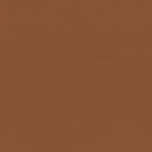 [317833] BROWN, PLAIN (DR# 25433)