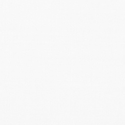 [317840] WHITE, PLAIN (DR# 25440)