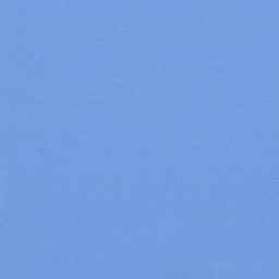 [317843] BLUE, PLAIN (DR# 25443)
