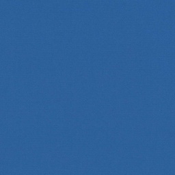 [317848] BLUE, PLAIN (DR# 25448)