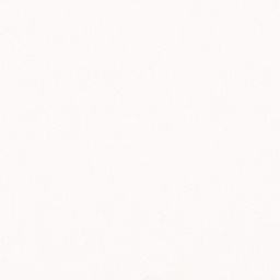 [317860] WHITE, PLAIN (DR# 25460)