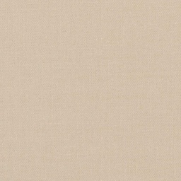 [317861] TAN, PLAIN (DR# 25461)
