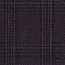 [317939] BURGUNDY, CHECKS
