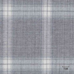 [317943] GREY, CHECKS
