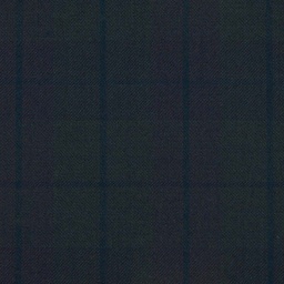 [317947] DARK GREEN, CHECKS (DR# 50248)