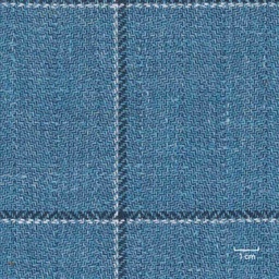 [317969] BLUE, CHECKS