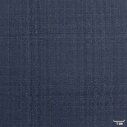 [228122] BLUE, CHECKS