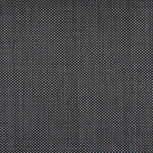 [228168] GREY, BIRDEYE