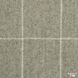 [228262] TAN, OFF WHITE CHECKS