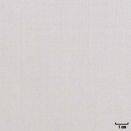 [405202] WHITE, PLAIN