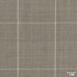 [213101] TAN, OFF WHITE CHECKS