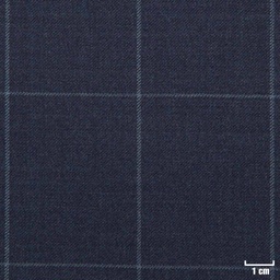 [213103] BLUE, OFF WHITE CHECKS