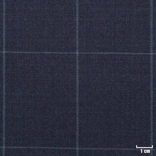 [213103] BLUE, OFF WHITE CHECKS