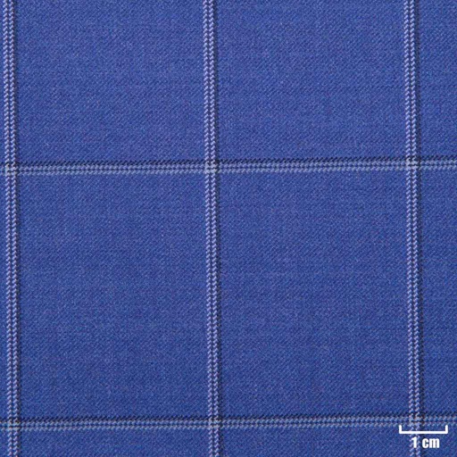 [213106] BLUE, BLUE/WHITE CHECKS