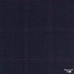 [213111] DARK BLUE, OFF WHITE/RED CHECKS