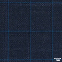 [213112] DARK BLUE, BLUE CHECKS