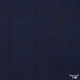 [213115] BLUE, BLACK/RED CHECKS