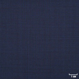[823106] BLUE, CHECKS