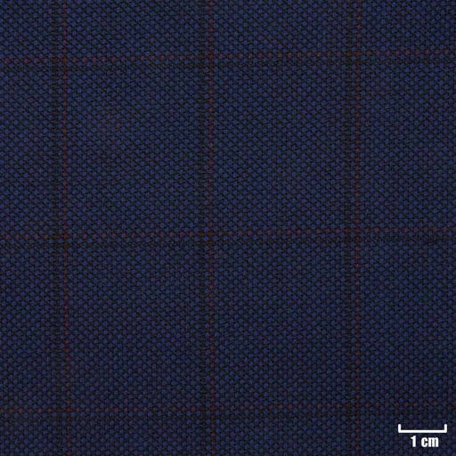 [823110] BLUE, BLACK/RED CHECKS