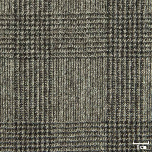 [823437] TAN, CHECKS