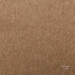 [824811] BROWN, PLAIN