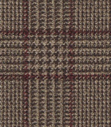 [451101] BROWN, CHECKS