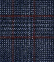 [451102] BLUE,CHECKS