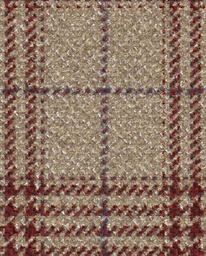 [451109] BROWN, CHECKS