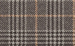 [451111] BROWN, CHECKS