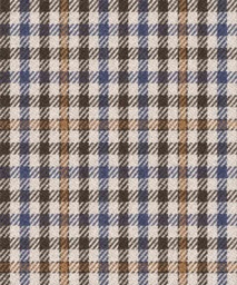 [451115] TAN, CHECKS